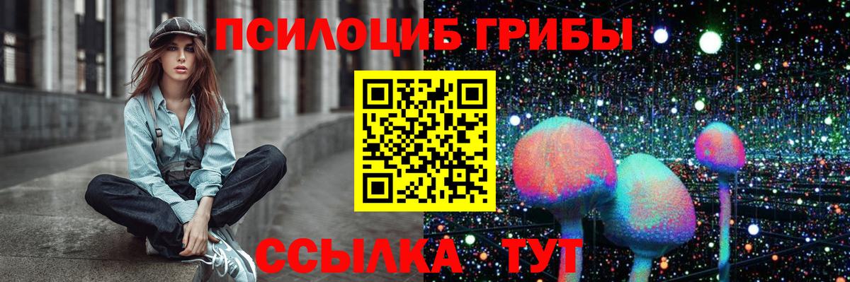 Галлюциногенные грибы Psilocybe Нерюнгри