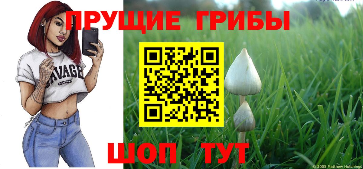 Псилоцибиновые грибы GOLDEN TEACHER  даркнет сайт  Нерюнгри  Вход с VPN 